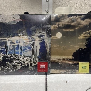 Lot Of 2 Echo & the Bunnymen Silver & TheKilling Moon RsD Black Friday 2024 NEW - Picture 1 of 13
