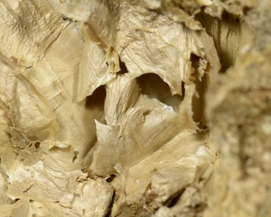 PALIGORSKITE de Rumania * BONITO ESPÉCIMEN EXPOSITOR * 5,4 cm - Imagen 1 de 7