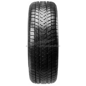 Winter-Reifen Gripmax 285/35R21 105V Status Pro Winter 3PMSF XL | 6048 - Bild 1 von 4