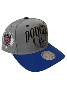 Mitchell & Ness Los Angeles Dodgers Crown Jewels Men’s SnapBack Hat - Grey/Blue - Picture 1 of 4