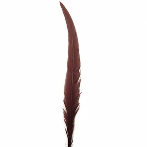 20" To 30" Silver Pheasant Tail Feather - Chocolate Brown ((SECONDS)) - Picture 1 of 3