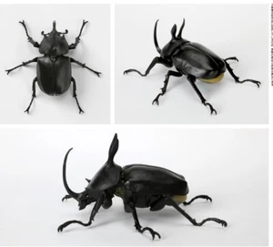 Neu Bandai Gashapon Käfer Figur Serie Vol.5 Eupatorus Birmanicus - Bild 1 von 8