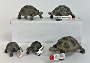 Schleich Tortoise Family Figurine Lot Adult Baby 2008 - Picture 1 of 7