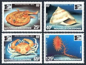 New Caledonia 737-740, MNH. Michel 1066-1069. CHINA-1996, Marine life. Shell. - Picture 1 of 1