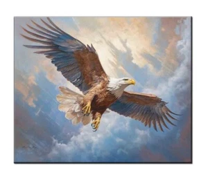 Quadri dipinti ad olio Eagle Majestic Bird Of Prey Soaring stampati su tela - Foto 1 di 10