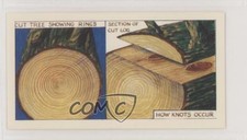 1964 Ringtons Do You Know? Tea How to Tell the Age of a Tree #9 z6d