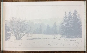Dan McCarthy Signed Limited Edition Print #152/600 "The Call of the Wild" 14×24 - Picture 1 of 10