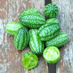 15 Cucamelon Seeds - Picture 1 of 8
