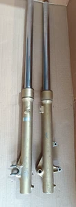 Honda XLR250 1985 XLR 250 XL250r MD-16 set forcella anteriore sospensione 51400-KR6-003-ZA - Foto 1 di 19