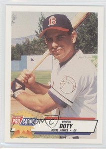 1993 Fleer ProCards Minor League Derrin Doty #3927