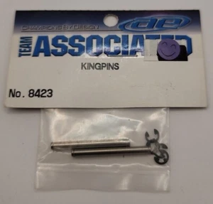 Team Associated Kingpins Rc12L Rc10L Pan Car Vintage Rc 8423 - Picture 1 of 1