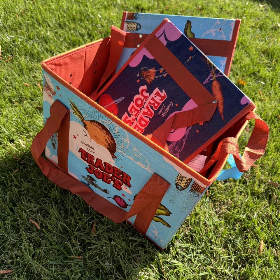 Trader Joe's Stand Up Collapsible Grocery Shopping Tote (2-Pack)