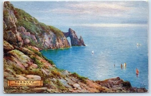 Postcard Torquay Natural Arch and Torbay Devon England Tuck's - Picture 1 of 2