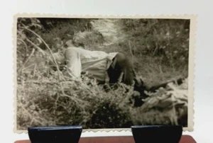 Vintage Photo of Pig Man Licking on the Field on the Grass 1950s - Picture 1 of 4