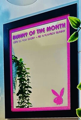 Playboy Mirror Pink Color, 10x12 Wood Framed Glass Mirror - Image 1 of 4