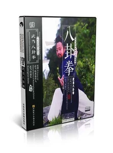 Wudang Songxi Style Secret Wushu routines - Diagram Boxing by Zhang Jiali DVD - Picture 1 of 1