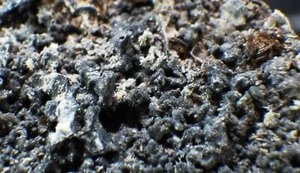 KUKHARENKOITE Very Rare fine Mineral Specimen Crystal DeMix, Varennes, Quebec - Picture 1 of 5
