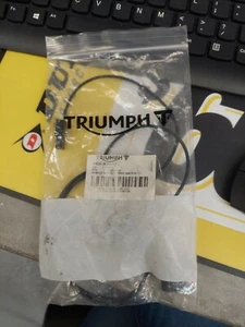 Triumph H/NESS NEUT/OIL PRES SWITCH'C' Part # T2500164 - Bild 1 von 2