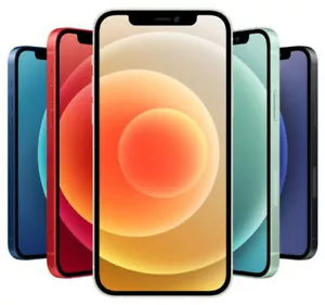 Apple iPhone 12 64GB/128GB/256GB - ALLE FARBEN - ENTSPERRT - GUTER ZUSTAND - Bild 1 von 8