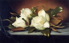 Martin Johnson Heade Giant Magnolias Flowers Oil Painting Hand painted On Canvas