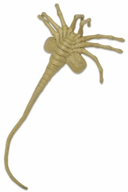 NECA Aliens Facehugger Life-Size 42'' Foam Replica - 51355