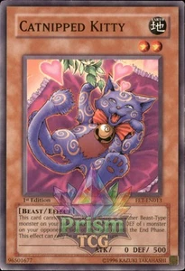 1st Ed Catnipped Kitty FET-EN013 Yugioh - Picture 1 of 1