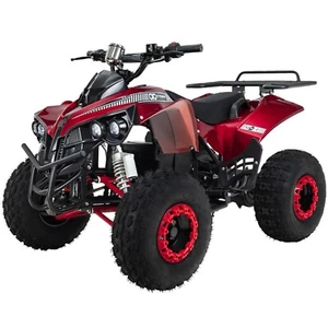 Midiquad Miniquad ATV S-10 1000 Watt Quad Pocket Kinderquad Elektro Pocketquad - Bild 1 von 70