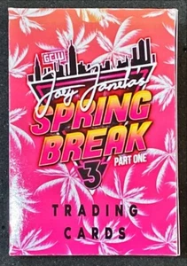 2019 GCW JOEY JANELA SPRING BREAK PART 1 (COMPLETE YOUR SET 1-28) AEW WWE NXT RC - Bild 1 von 86