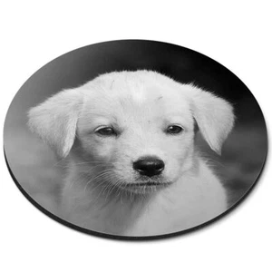 Runde Mausmatte (bw) - Golden Retriever Hund Welpe Labrador #37788 - Bild 1 von 8