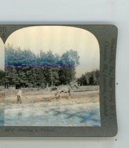 Arado de caballos en Finlandia Underwood Stereoview - Imagen 1 de 4