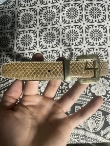 jana genuine snake skin belt - Picture 1 of 4
