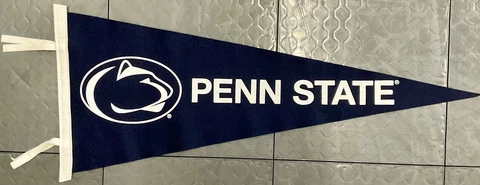 Penn State Nittany Lions wool NCAA Pennant Cover