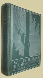 DEWAR, George A.B. Wild Birds Through The Year. 1913. - Bild 1 von 2