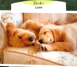 Shoebox LOVE Card "I ALWAYS Feel SO Comfy with YOU! "  2 Loving Pups SB12 - Picture 1 of 3