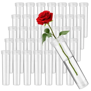 100 Pcs Flower Nutrition Tube Florist Supplies Floral Water Tubes - Picture 1 of 11