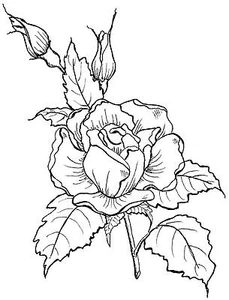 Large Rose Unmounted Rubber Stamp - 7156 - Picture 1 of 1