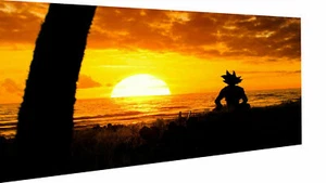 Leinwand Dragon Ball Z Bilder Wandbilder - Hochwertiger Kunstdruck - Bild 1 von 8