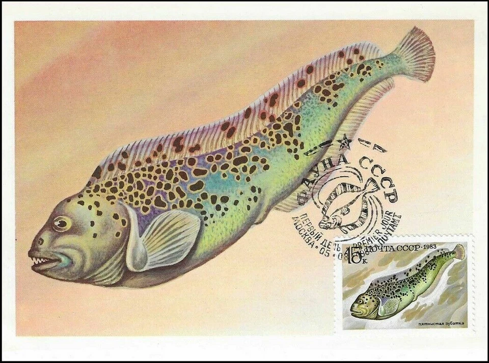 Catfish Spotted Catfish Fish Exotic Fish Russia Mint Maxi FDC 1983 - Image 1 of 1