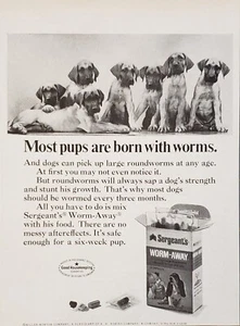 Anuncio impreso Sergeant's Worm-Away for Puppy Dogs 1968 lindos cachorros - Imagen 1 de 1