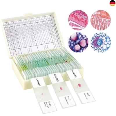 LAKWAR 30 Mikroskop Objektträger mit Biologischen Proben, Insekten Pflanzen