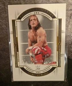 2024 National Treasures WWE Shawn Michaels #17 WWE Legends Base Card /99 - Picture 1 of 2