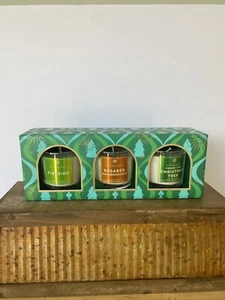 Bath & Body Works Holiday Christmas Candle Gift Set (Fireside, Snickerdoodle) - Picture 1 of 5