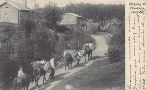 SVERIGE Sweden - Klövjning till Fäbodarna Jämtland - Publ. N. Thomasson 67 - Picture 1 of 2