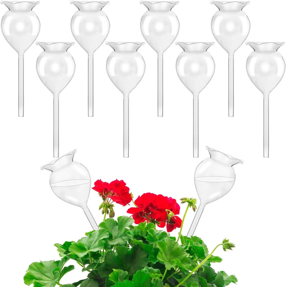 Haawooky 8 Pack Self Watering Globes Clear Glass Plant Water Bulbs Hand Blown Au