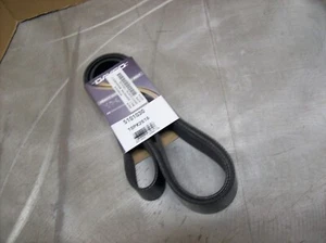 BT9) Dayco Serpentine Belt 5101030 - Picture 1 of 1
