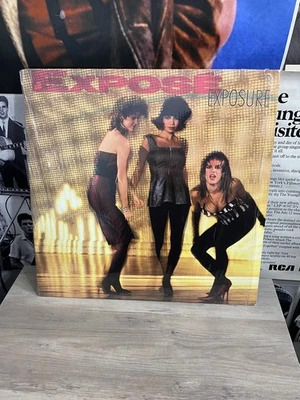 Exposé - Exposure Vinyl LP - 1987 EXCELLENT VINTAGE - Arista Foto 1 de 4