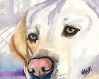 Cadeaux de laboratoire jaunes | Labrador Retriever art imprimé de peinture, décoration intérieure 11x14
