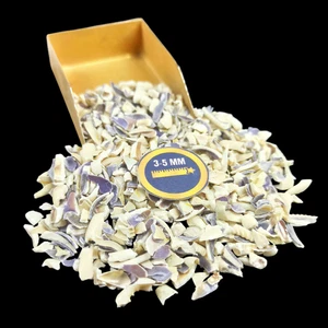 Piedra preciosa natural triturada gruesa Cowrie Shell 3-5 mm para hacer joyas - Imagen 1 de 5