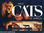 Gambie 2012 MNH SS, animaux sauvages, lion, guépard, volaille de la jungle Caracal  