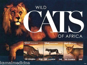 Gambia 2012 MNH SS, Wildtiere, Wildkatzen Löwe, Geparden, Dschungelvögel Karakal - Bild 1 von 1
